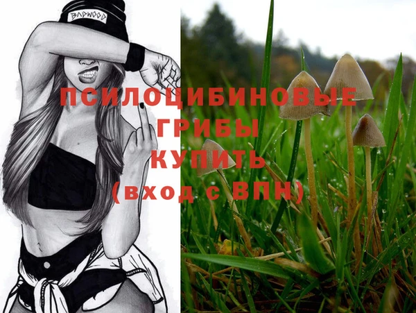 шишки Абинск
