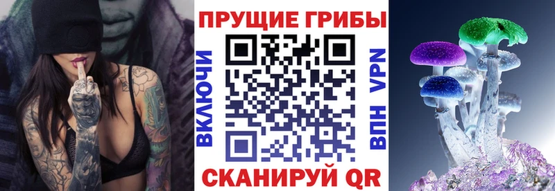 Псилоцибиновые грибы мухоморы Новокузнецк