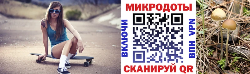 даркнет официальный сайт  купить наркотик  Новокузнецк  Псилоцибиновые грибы Psilocybine cubensis 