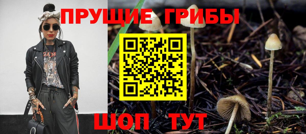 Галлюциногенные грибы Magic Shrooms  Псилоцибиновые грибы MAGIC MUSHROOMS  Новокузнецк  Вход с VPN 